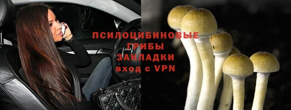 соль ск Алексин