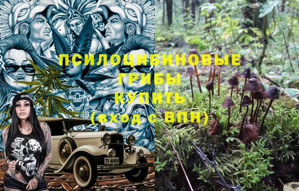 a pvp Алексеевка