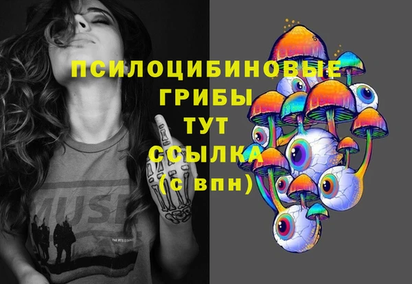 соль ск Алексин