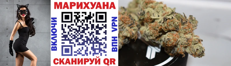 где найти наркотики  Йошкар-Ола  Шишки марихуана сатива 